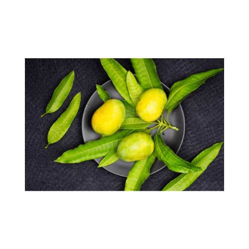 Himshagor Mango